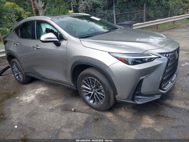2025 LEXUS NX 250 PREMIUM - 1