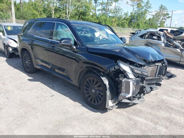 2024 HYUNDAI PALISADE CALLIGRAPHY NIGHT EDITION - 1