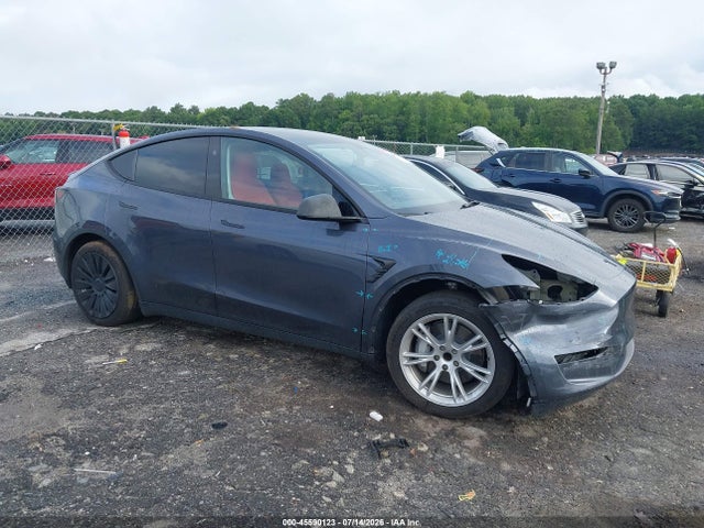 2023 TESLA MODEL Y RWD - 1