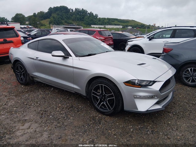 2019 FORD MUSTANG ECOBOOST - 1