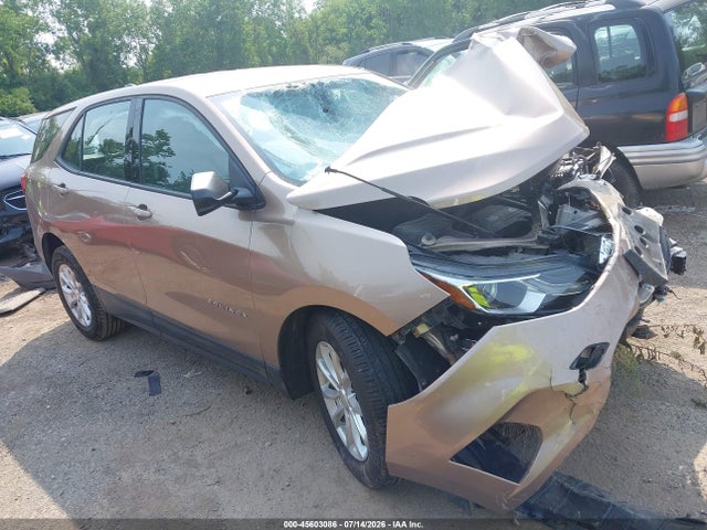 2019 CHEVROLET EQUINOX LS - 1