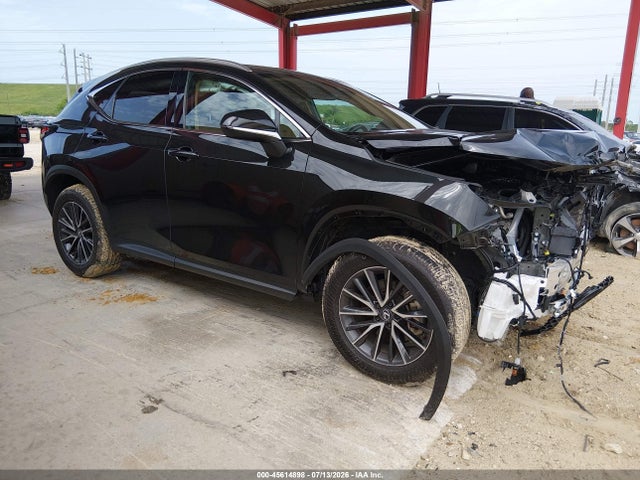 2025 LEXUS NX 250 - 1