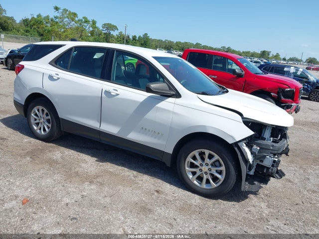 2019 CHEVROLET EQUINOX LS - 1