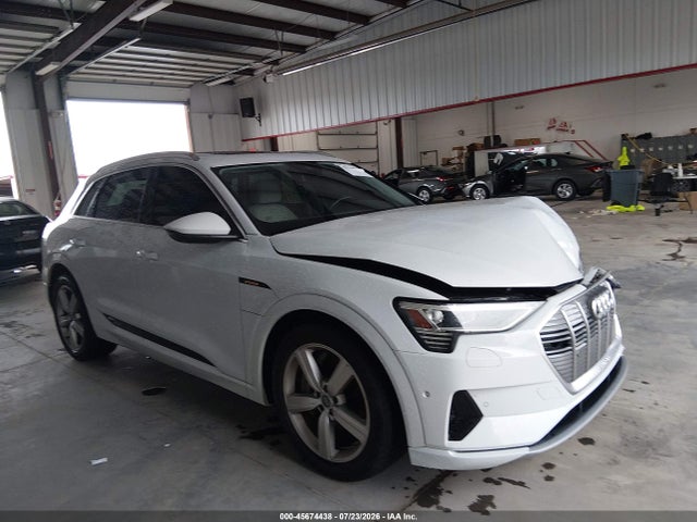 2019 AUDI E-TRON PREMIUM PLUS - 1