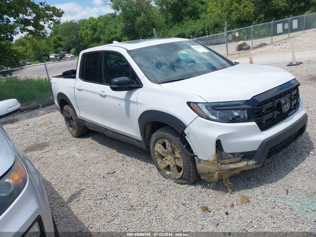 2026 HONDA RIDGELINE BLACK EDITION - 1