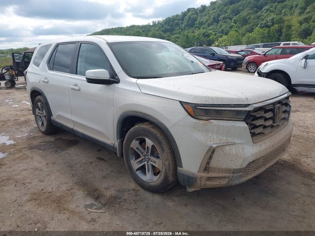 2025 HONDA PILOT EX-L - 1