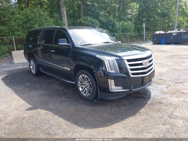 2019 CADILLAC ESCALADE ESV STANDARD - 1