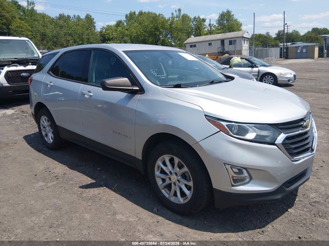 2019 CHEVROLET EQUINOX LS - 1