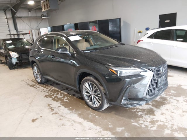 2022 LEXUS NX 350H LUXURY - 1