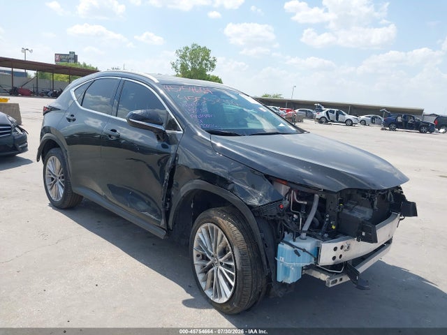 2025 LEXUS NX 350 PREMIUM - 1