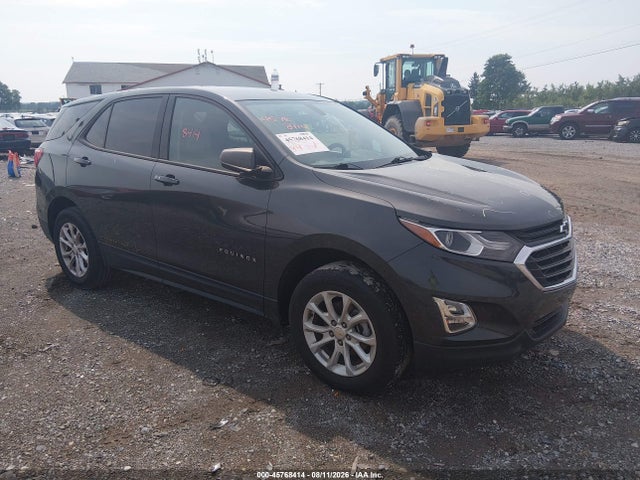 2019 CHEVROLET EQUINOX LS - 1