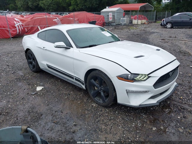2019 FORD MUSTANG ECOBOOST - 1
