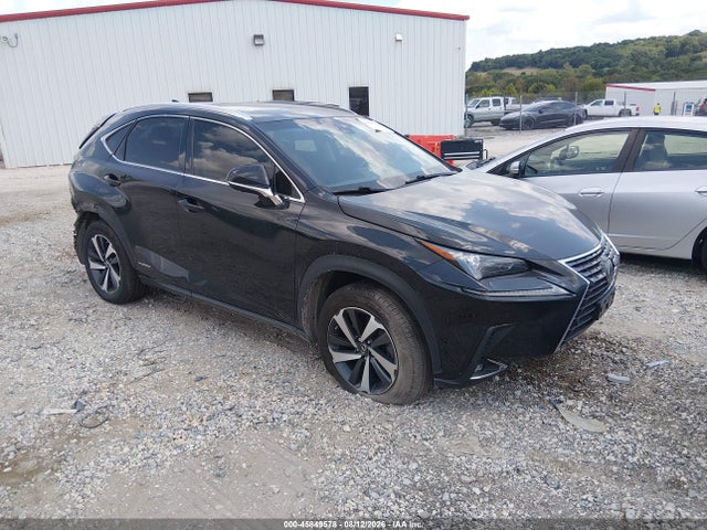 2019 LEXUS NX 300H - 1