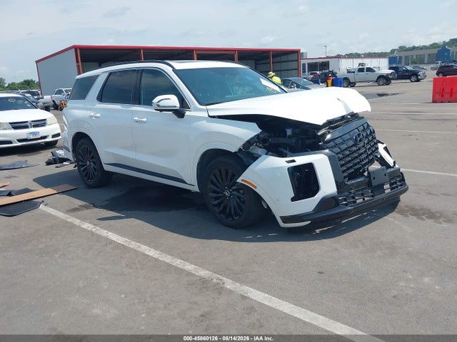 2025 HYUNDAI PALISADE CALLIGRAPHY NIGHT EDITION - 1