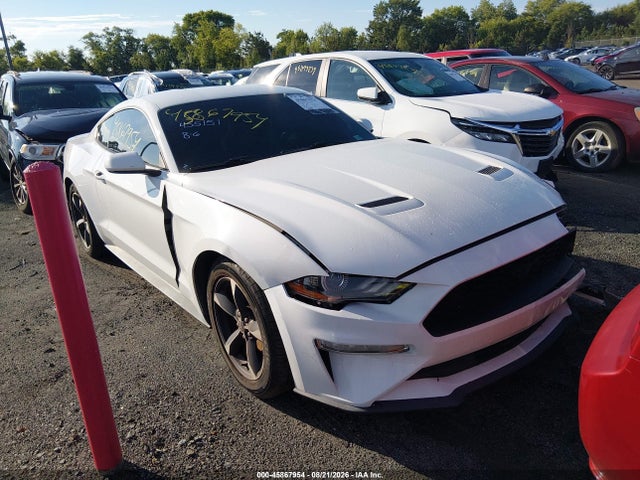 2019 FORD MUSTANG ECOBOOST - 1