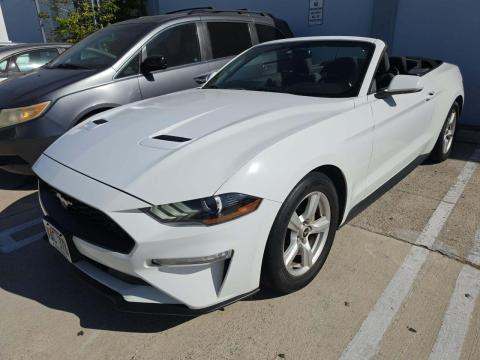 2019 FORD MUSTANG EcoBoost - 1