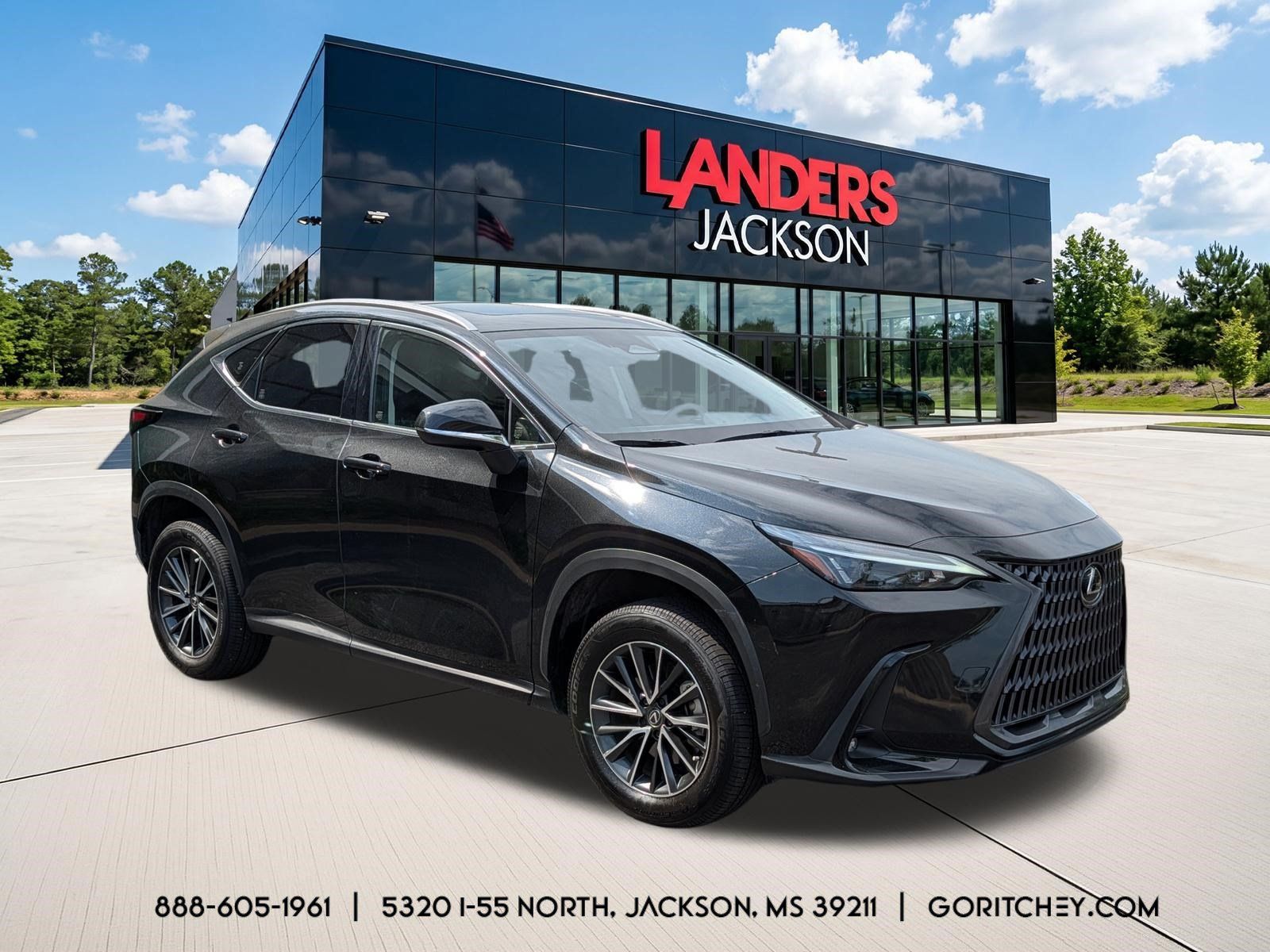 2024 LEXUS NX NX 350h - 1