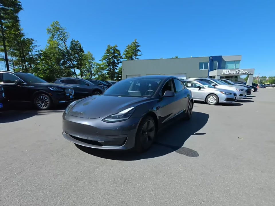 2021 TESLA MODEL 3 STANDARD RANGE Plus - 1