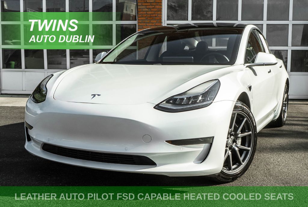 2020 TESLA MODEL 3 STANDARD RANGE Plus - 1