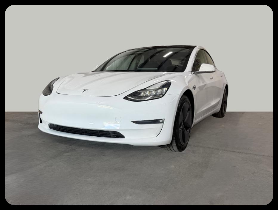 2019 TESLA MODEL 3 STANDARD Range - 1