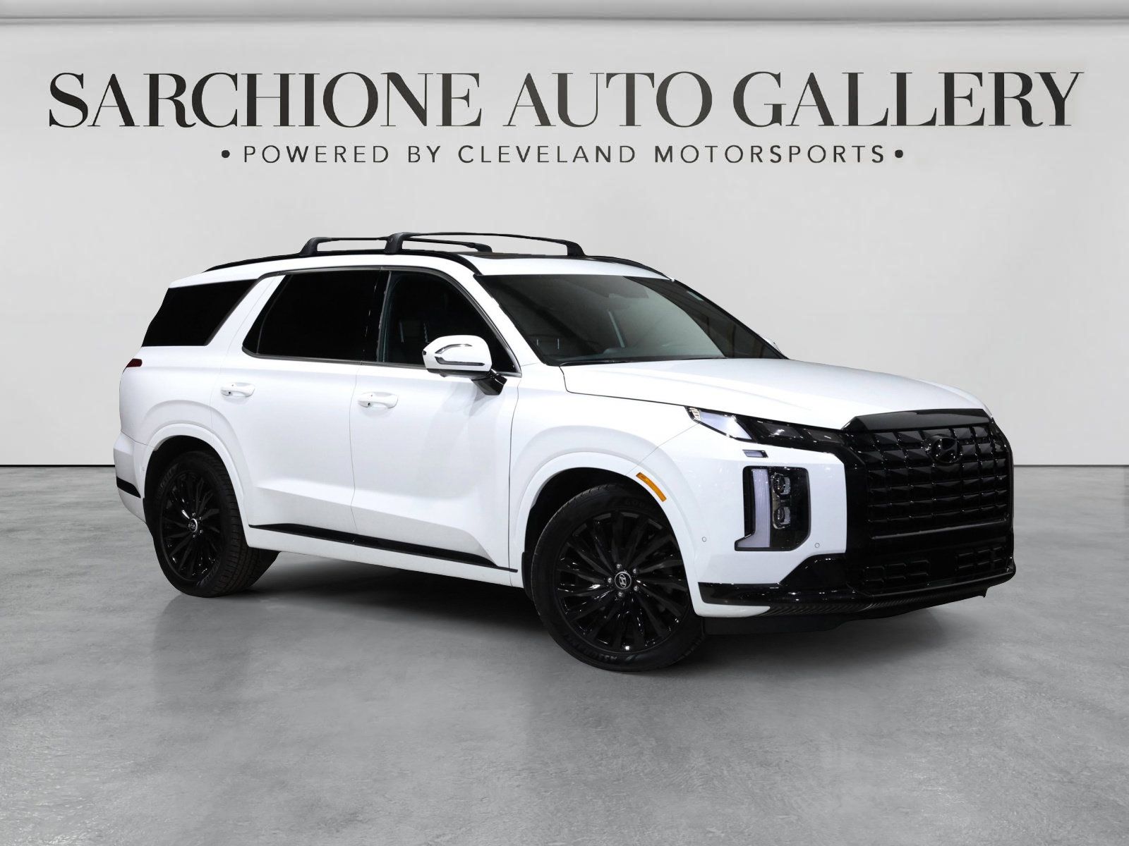 2025 HYUNDAI PALISADE CALLIGRAPHY NIGHT Edition - 1