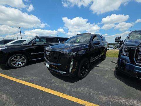 2023 CADILLAC ESCALADE SPORT Platinum - 1