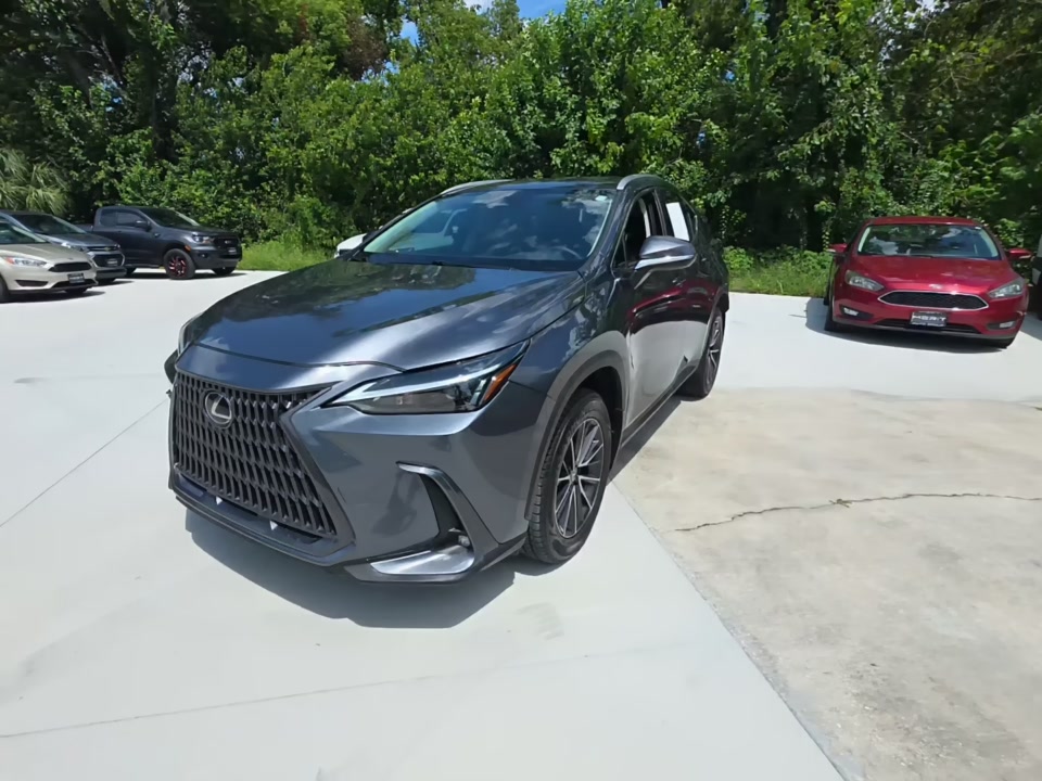 2022 LEXUS NX NX 250 - 1