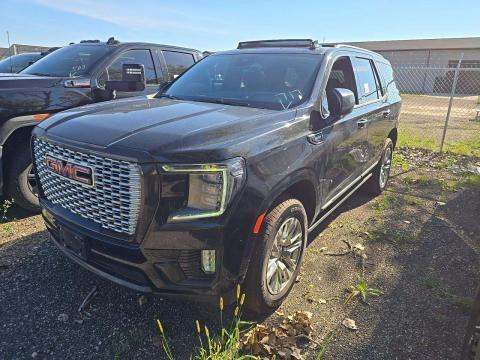 2024 GMC YUKON Denali - 1