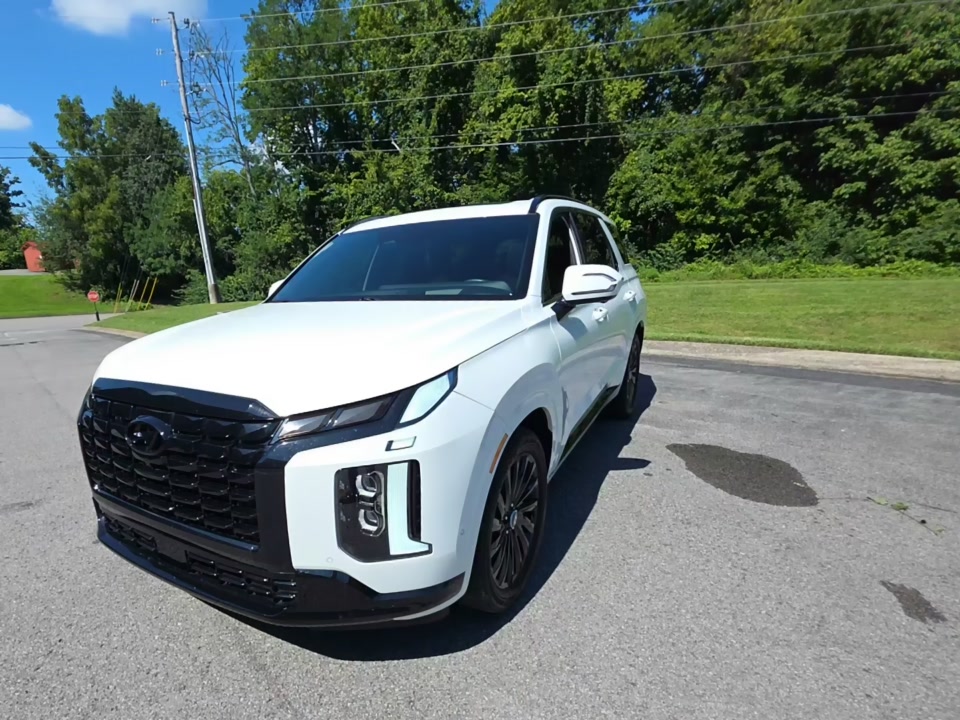 2025 HYUNDAI PALISADE CALLIGRAPHY NIGHT Edition - 1