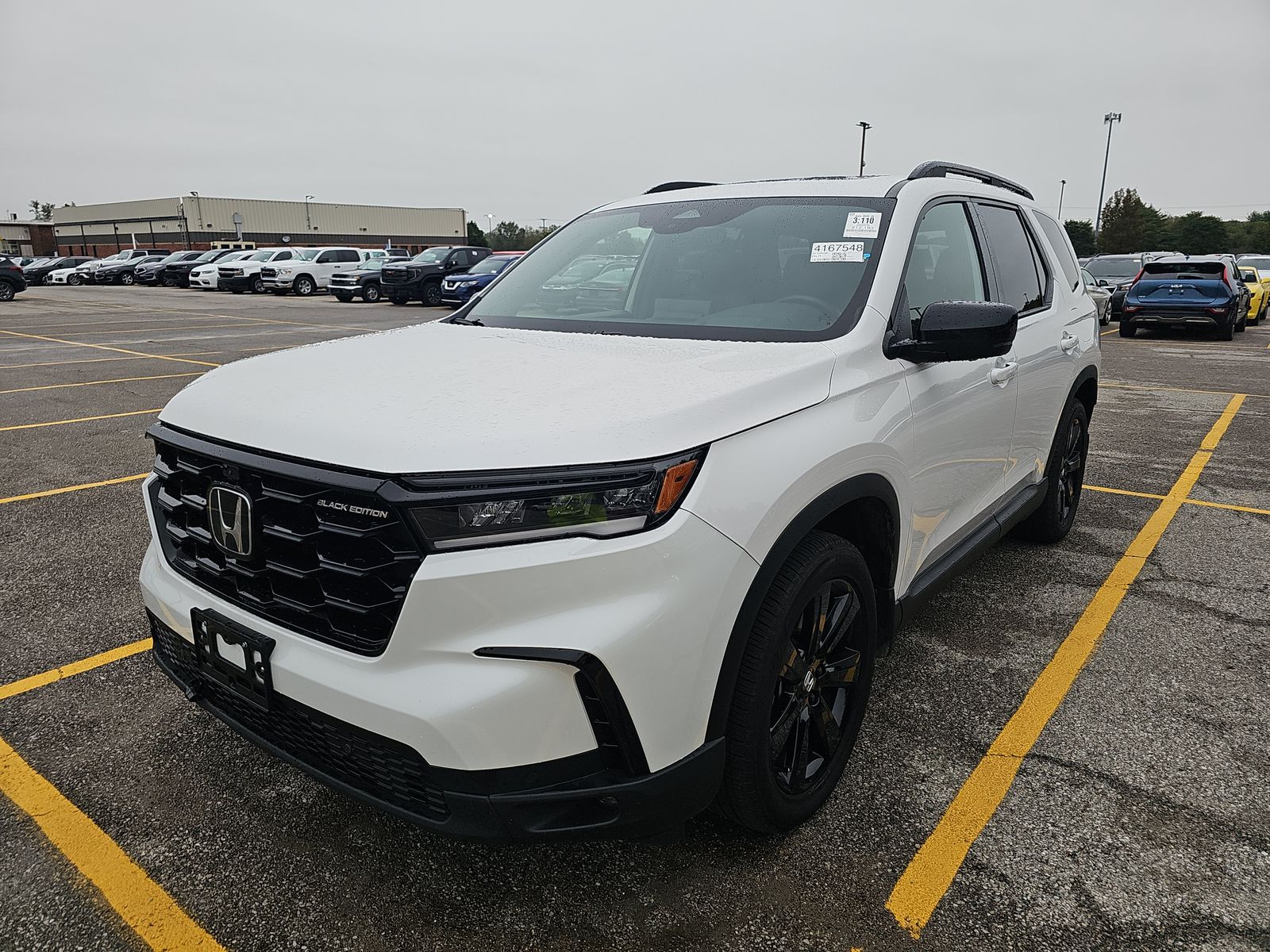 2025 HONDA PILOT BLACK Edition - 1