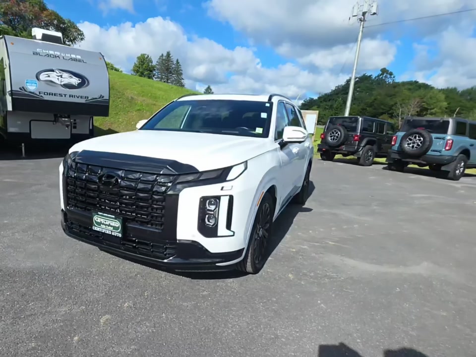 2024 HYUNDAI PALISADE CALLIGRAPHY NIGHT Edition - 1