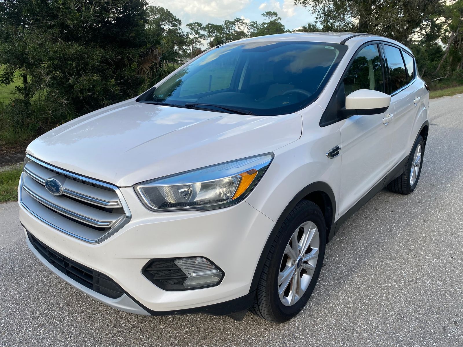2019 FORD ESCAPE SE - 1