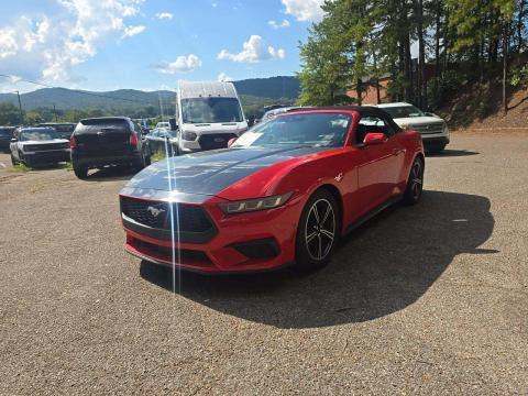 2024 FORD MUSTANG EcoBoost - 1