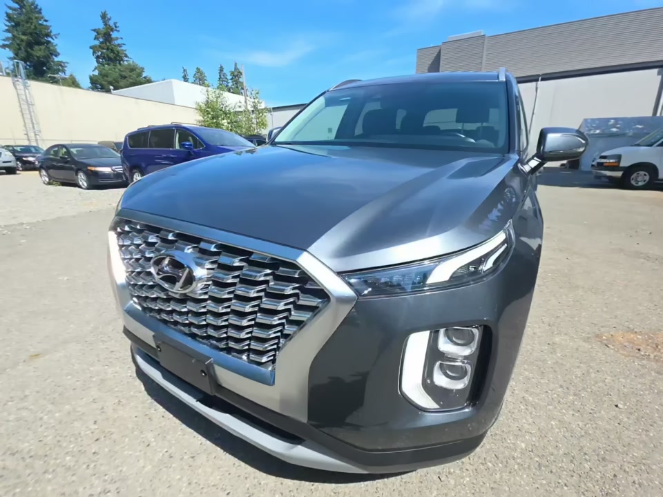 2020 HYUNDAI PALISADE SEL - 1