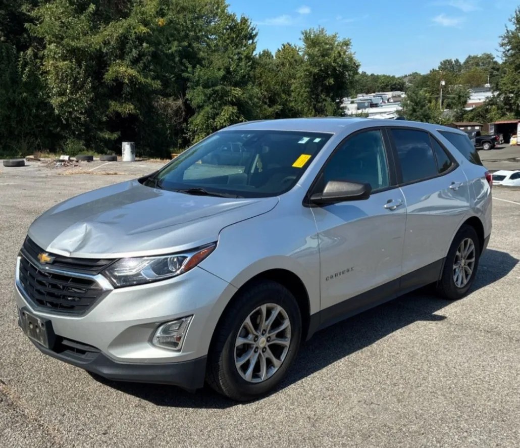 2020 CHEVROLET EQUINOX LS - 1
