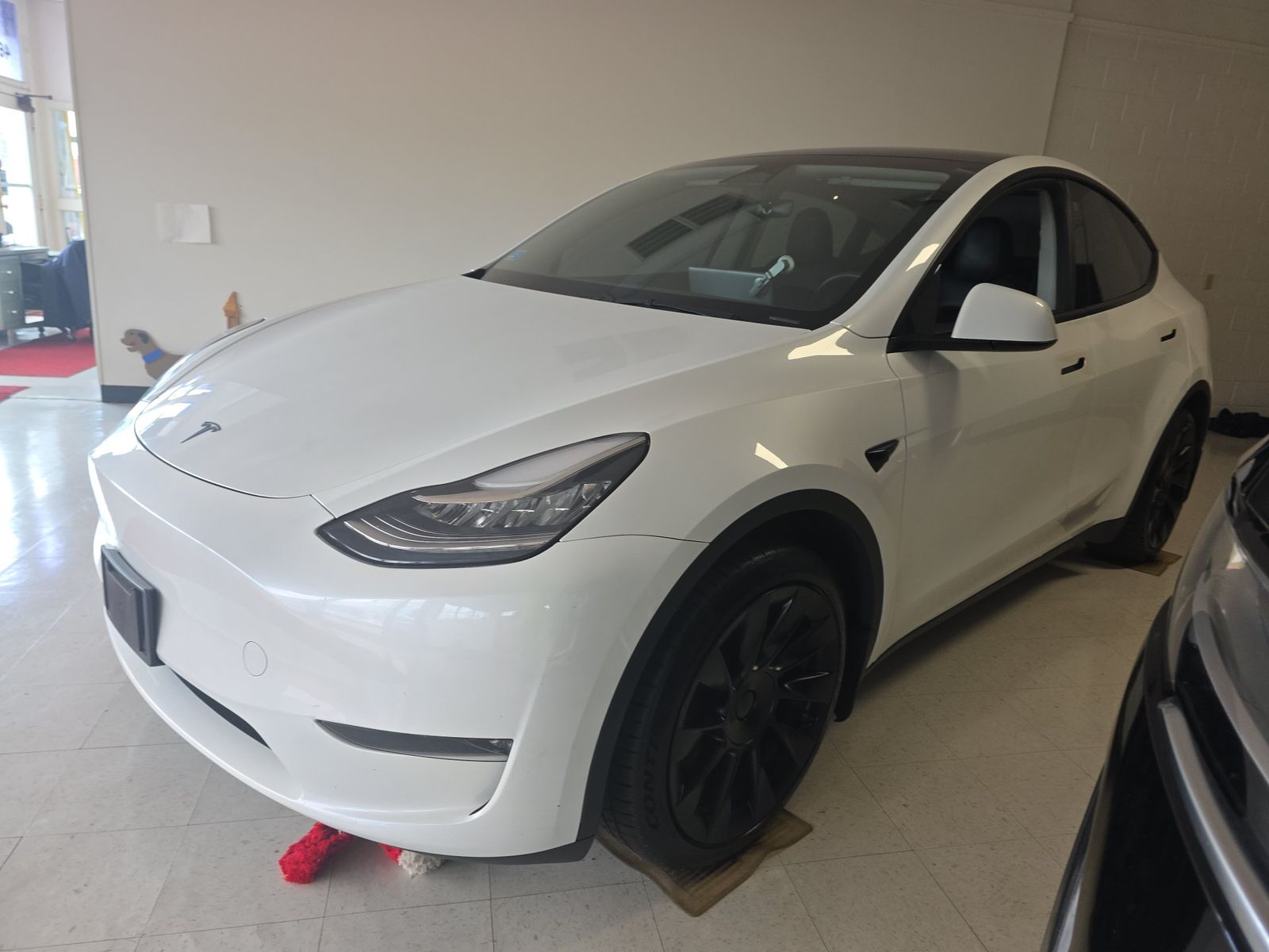 2023 TESLA MODEL Y STANDARD Range - 1