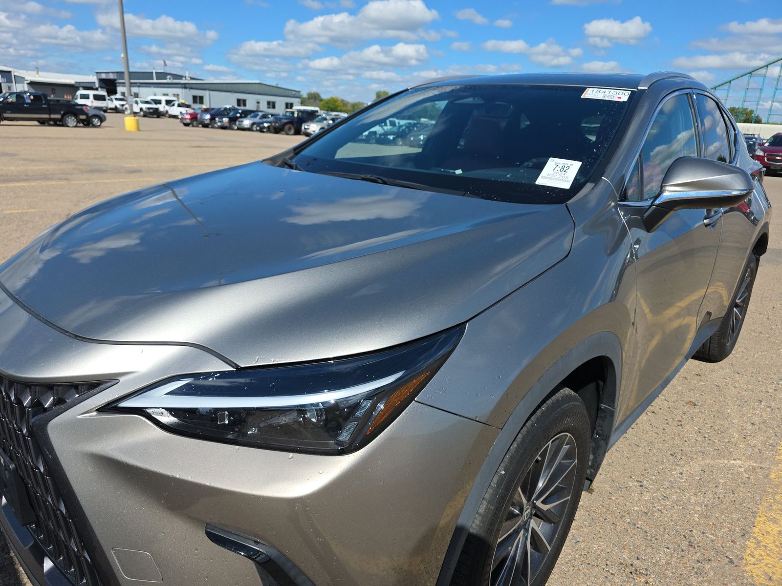 2024 LEXUS NX NX 350 - 1