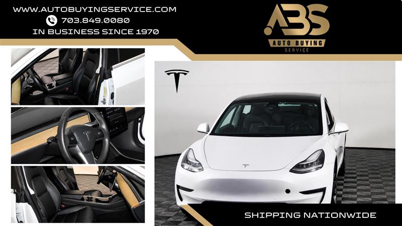 2020 TESLA MODEL 3 STANDARD RANGE Plus - 1