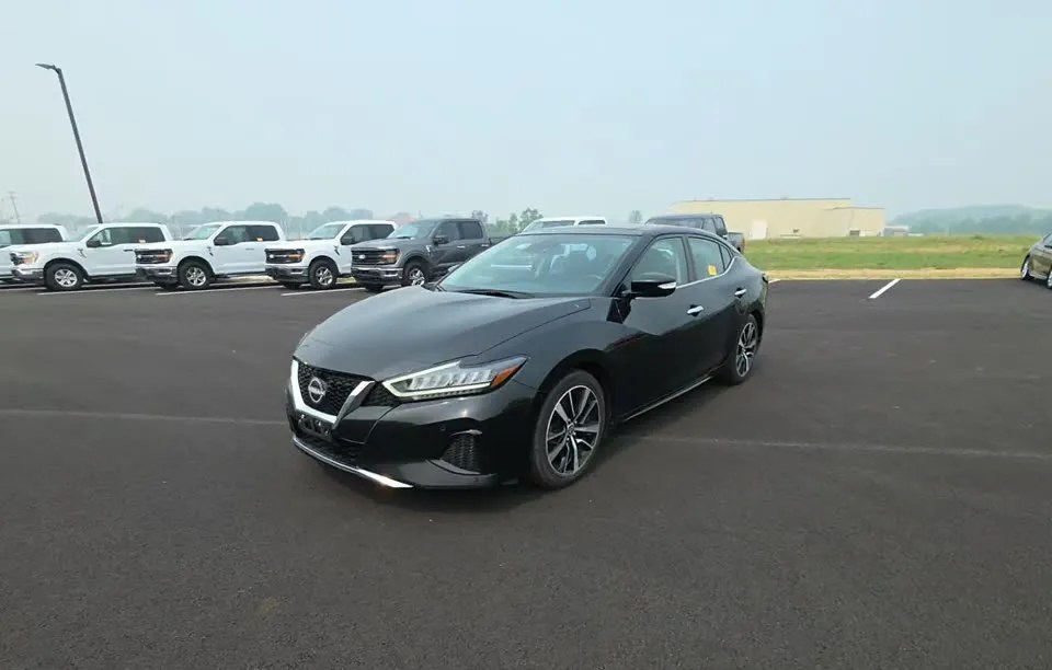 2023 NISSAN MAXIMA SL - 1
