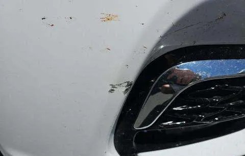 2026 CHRYSLER PACIFICA SELECT 121.6" WB - 1