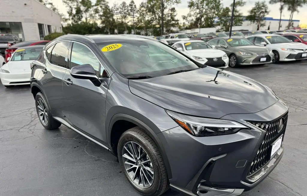 2025 LEXUS NX 350 - 1
